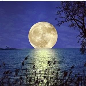 Meet your Posher, Eva